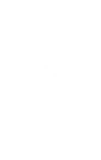 B-V-Pinot-Noir-Label
